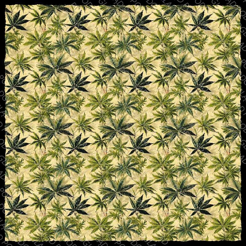 Cannabis Pattern